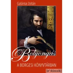   Galántai Zoltán - Bolyongás a borgesi könyvtárban (e-könyv)