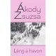 Ákody Zsuzsa - Láng a havon (e-könyv)