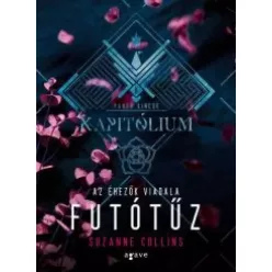Suzanne Collins - Futótűz (e-könyv)