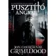 John Courtenay Grimwood - Pusztító angyal (e-könyv)