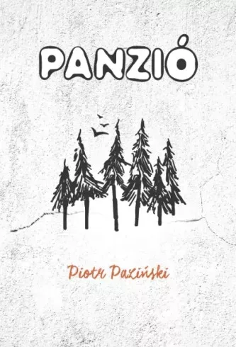 Piotr Paziński - Panzió (e-könyv)