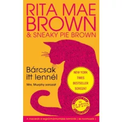Mae Brown Rita - Bárcsak itt lennél (e-könyv)