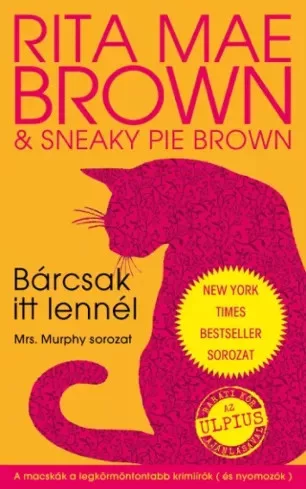 Mae Brown Rita - Bárcsak itt lennél (e-könyv)