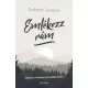 Leiner Laura - Emlékezz rám (e-könyv)