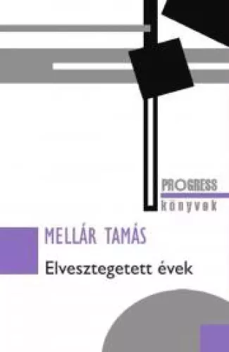 Mellár Tamás - Elvesztegetett évek (e-könyv)