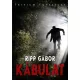 Ripp Gábor - Kábulat (e-könyv)