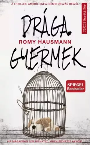Romy Hausmann - Drága gyermek (e-könyv)
