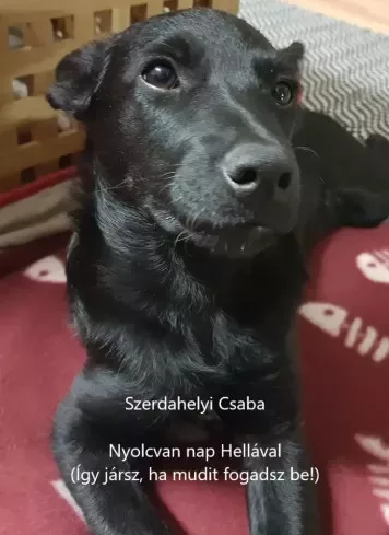 Szerdahelyi Csaba - Nyolcvan nap Hellával (e-könyv)