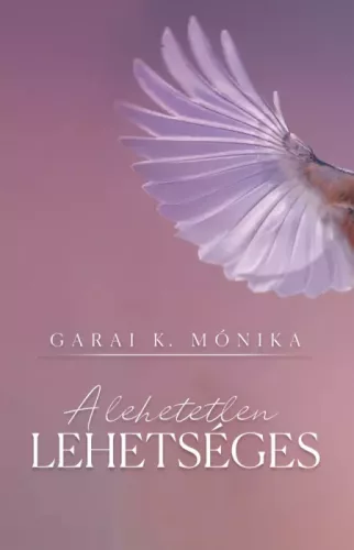 Garai K. Mónika - A lehetetlen lehetséges (e-könyv)