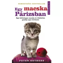 Sherryl Gethers - Egy macska Párizsban (e-könyv)