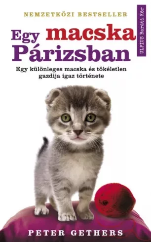 Sherryl Gethers - Egy macska Párizsban (e-könyv)