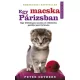 Sherryl Gethers - Egy macska Párizsban (e-könyv)