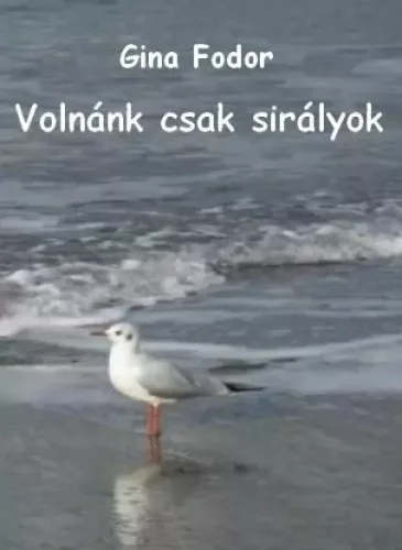 Gina Fodor - Volnánk csak sirályok (e-könyv)