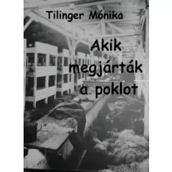 Tilinger Mónika - Akik megjárták a poklot (e-könyv)