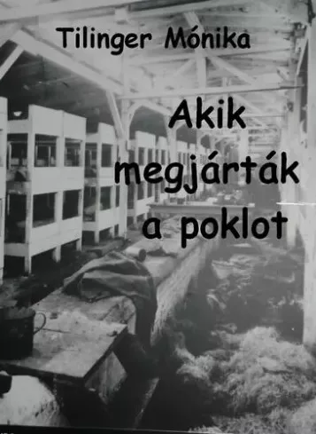Tilinger Mónika - Akik megjárták a poklot (e-könyv)