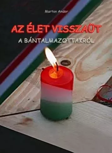Marton Andor - Az élet visszaüt (e-könyv)
