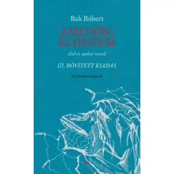 Bak Róbert - Ameddig elhiszem (e-könyv)