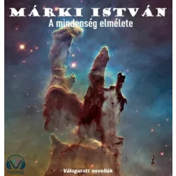Márki István - A mindenség elmélete (e-könyv)