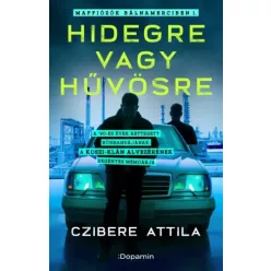 Czibere Attila - Hidegre vagy hűvösre (e-könyv)