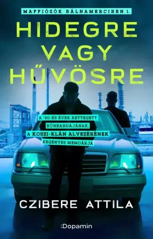 Czibere Attila - Hidegre vagy hűvösre (e-könyv)