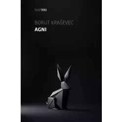 Borut Kraševec - Agni (e-könyv)