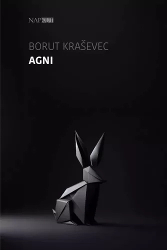 Borut Kraševec - Agni (e-könyv)