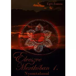 Egri Zsanna - Elveszve Mexikóban 1. (e-könyv)