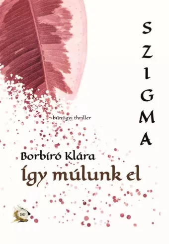 Borbíró Klára - Így múlunk el (e-könyv)