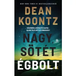Dean Koontz - Nagy, sötét égbolt (e-könyv)