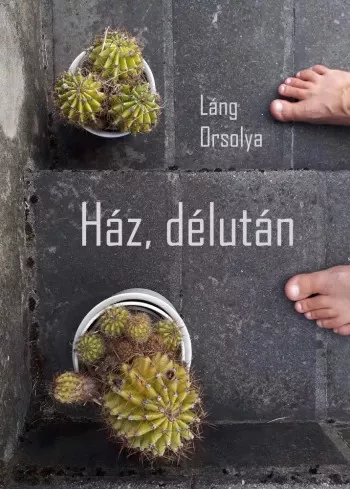 Láng Orsolya - Ház, délután (e-könyv)