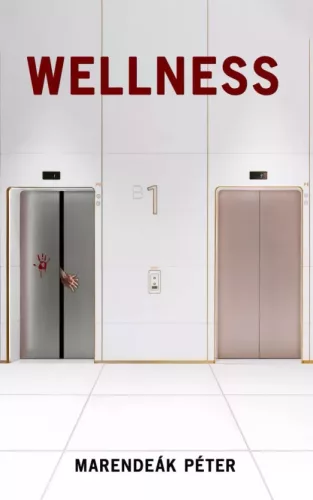 Marendeák Péter - Wellness (e-könyv)