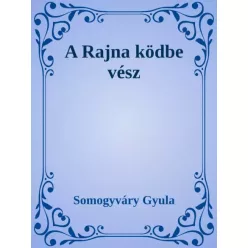 Somogyváry Gyula - A Rajna ködbe vész (e-könyv)
