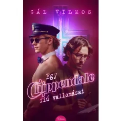 Gál Vilmos - Egy Chippendale-fiú vallomásai (e-könyv)