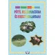 Pintér Amádé, Pintér Illangó, Pintér Jávor - Pötyi, Kissárgacsuda és Kriszti kalandjai (e-könyv)