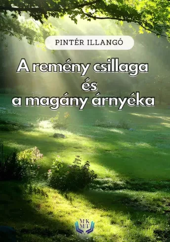 Pintér Illangó - A remény csillaga és a magány árnyéka (e-könyv)