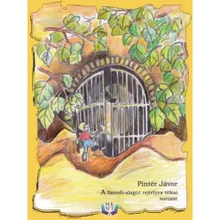   Pintér Jávor - A Szondi-alagút rejtélyes titkai (e-könyv)