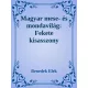 Benedek Elek - Magyar mese- és mondavilág:   A fekete kisasszony (e-könyv)
