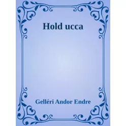 Gelléri Andor Endre - Hold ucca (e-könyv)