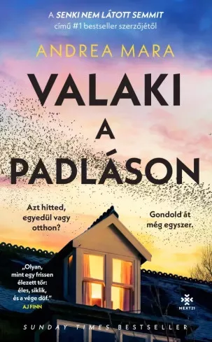 Andrea Mara - Valaki a padláson (e-könyv)