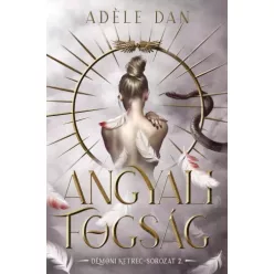 Adéle Dan - Angyali fogság (e-könyv)