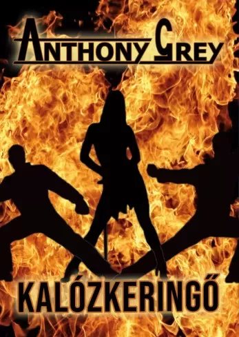 Anthony Grey - Kalózkeringő (e-könyv)