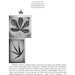 Tomasovszki István - Hazahozni apát (e-könyv)