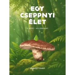 Sárközy Zsolt - Egy cseppnyi élet II. (e-könyv)