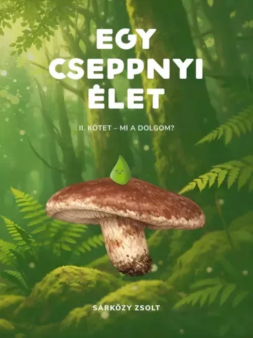Sárközy Zsolt - Egy cseppnyi élet II. (e-könyv)