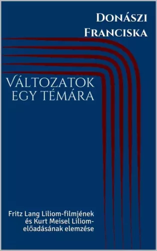 Donászi Franciska - Változatok egy témára (e-könyv)