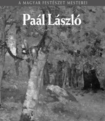 Bakó Zsuzsanna - Paál László (e-könyv)