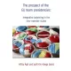 Ágh Attila, Kis-Varga Judit - The prospect of the EU team presidencies: Integrative balancing in the new member states (e-könyv)