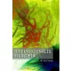 Kiss Tamás - Biofunkcionális filozófia (e-könyv)