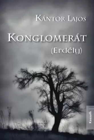 Kántor Lajos - Konglomerát (Erdély) (e-könyv)
