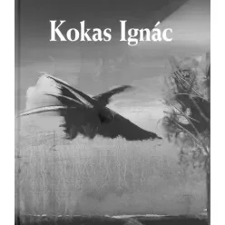 Rózsa Gyula - Kokas Ignác (e-könyv)